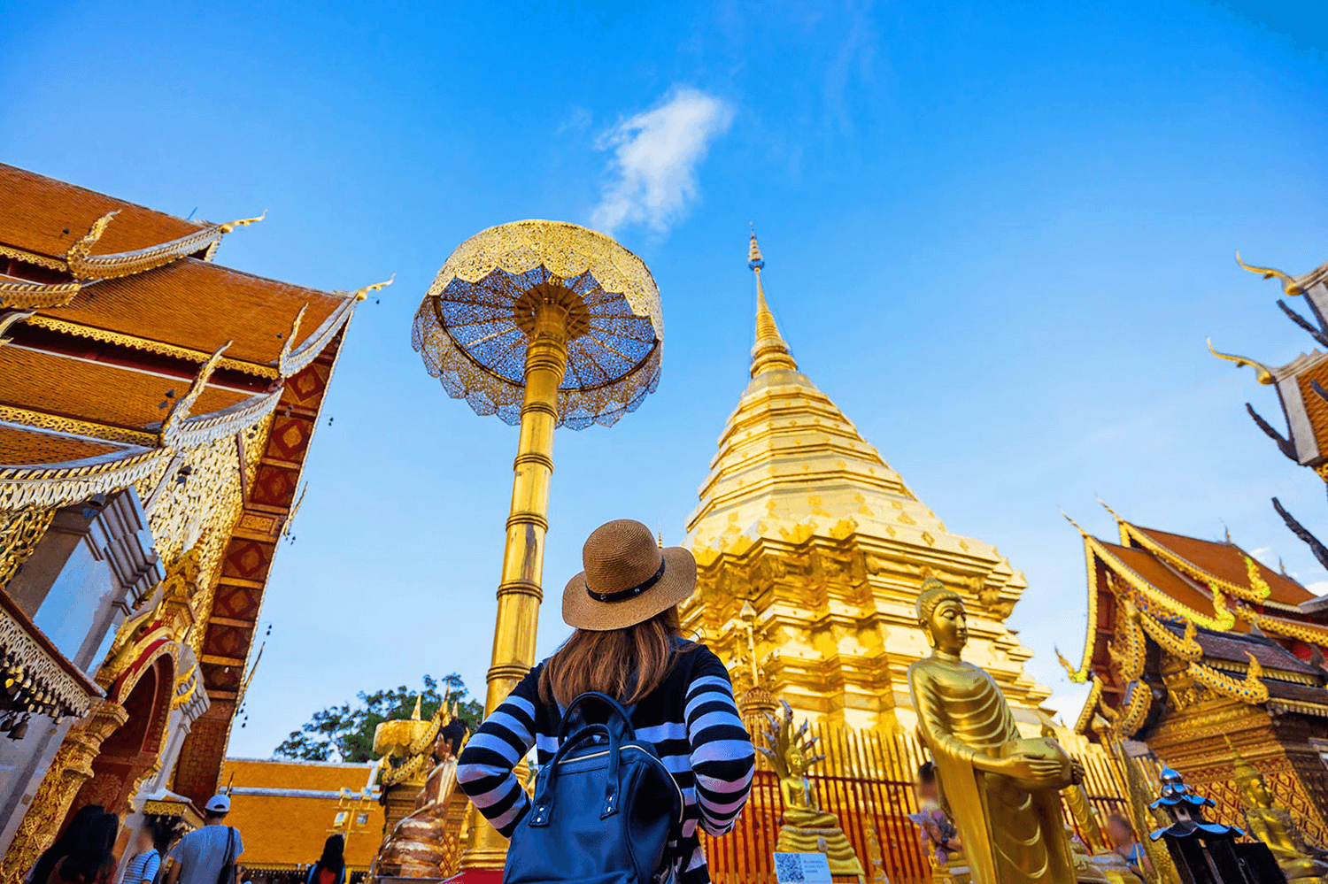 Vegan and vegetarian cooking class in Chiang Mai